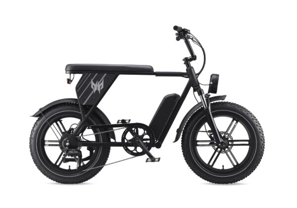 Predator eNomad-R 電動輔助自行車：圖片 4