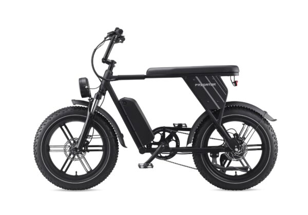 Predator eNomad-R 電動輔助自行車：圖片 3