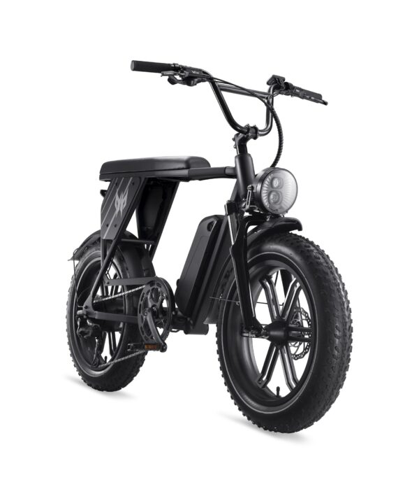 Predator eNomad-R 電動輔助自行車